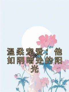 姜愿言锦小说 《温柔宠爱：他如阴暗处的阳光》小说全文在线试读