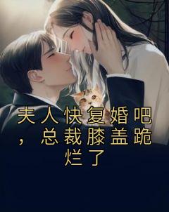 《夫人快复婚吧，总裁膝盖跪烂了》小说全文在线试读 《夫人快复婚吧，总裁膝盖跪烂了》最新章节目录