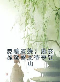 《灵魂互换：我在战场替王爷夺江山》(江穗宁夜湛)小说阅读by江穗宁