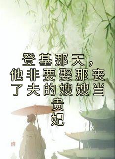 登基那天，他非要娶那丧了夫的嫂嫂当贵妃全文免费阅读(盛鸢傅崇之) 完结版