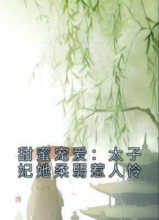 《甜蜜宠爱：太子妃她柔弱惹人怜》慕梓寒周璟章节目录免费试读