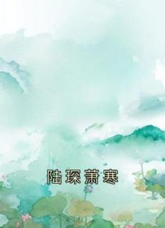 《陆琛萧寒》小说章节列表在线阅读 陆琛萧寒小说全文