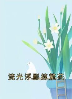 《流光浮影掠繁花》小说章节在线阅读 戚迟冰陆崇远小说全文