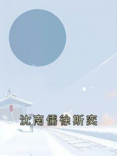 《沈南儒徐斯奕》完结版免费阅读 《沈南儒徐斯奕》最新章节列表