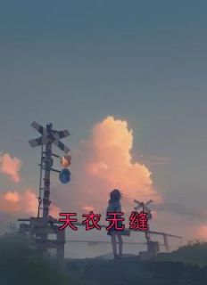 《天衣无缝》小说完结版精彩试读 苏琪陆旭小说阅读