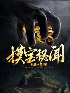 《摸宝秘闻》大结局在线阅读 《摸宝秘闻》最新章节列表