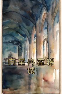 完整版《向星冉霍锦城》向星冉霍锦城全文免费阅读