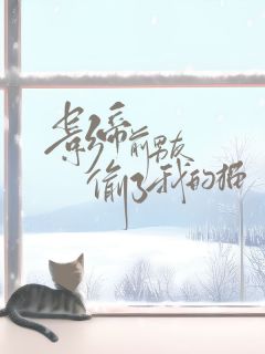 《影帝前男友偷了我的猫后》小说全集免费在线阅读（苏月欢墨白）