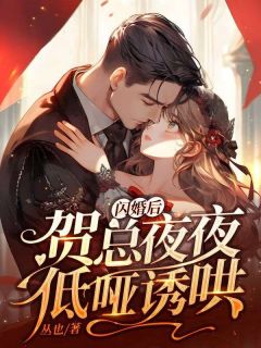 闪婚后，贺总夜夜低哑诱哄原著小说免费阅读