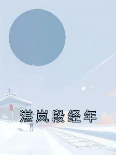 《湛岚段经年》小说全文精彩阅读 《湛岚段经年》最新章节列表