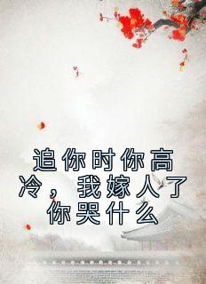 《追你时你高冷，我嫁人了你哭什么》乔吟谢遇安精彩内容在线阅读