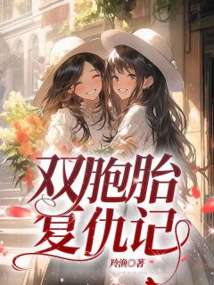 《双胞胎复仇记》小说完结版精彩阅读 许安许宁小说阅读