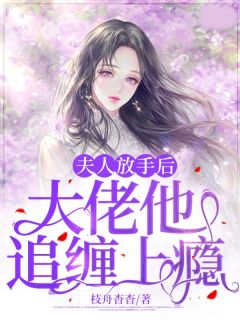 《夫人放手后，大佬他追缠上瘾》小说完结版在线试读 陆舒秦泊简小说全文