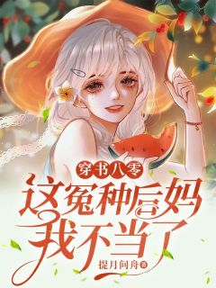 《穿书八零：这冤种后妈我不当了》小说大结局免费阅读 何盼兰洪丽小说阅读