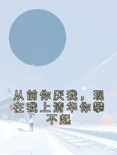 《从前你厌我，现在我上清华你攀不起》小说在线试读 《从前你厌我，现在我上清华你攀不起》最新章节列表