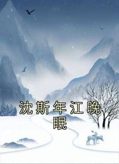 《沈斯年江晚眠》江晚眠沈斯年章节在线阅读