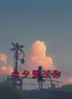 《今夕爱过你》完结版在线阅读 《今夕爱过你》最新章节目录