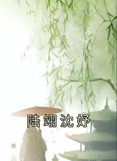 《陆翊沈妤》沈妤陆翊小说精彩章节免费试读