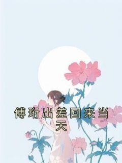 《傅珩出差回来当天》小说完结版在线试读 许晚晚傅珩小说全文