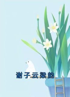 《谢子云梁韵》小说章节在线试读 夏青青谢子云小说全文