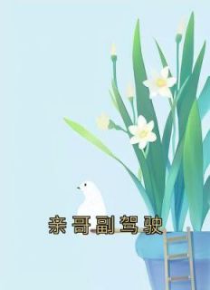 《亲哥副驾驶》小说全文在线试读 《亲哥副驾驶》最新章节列表