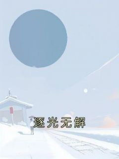 《逐光无解》完结版免费阅读 《逐光无解》最新章节目录