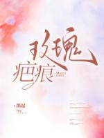《玫瑰疤痕》小说章节列表免费阅读 宋清泽谭玥小说全文