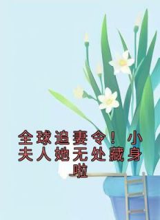 《全球追妻令！小夫人她无处藏身啦》小说精彩阅读 《全球追妻令！小夫人她无处藏身啦》最新章节列表