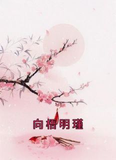 《向梧明瑾》小说全集免费在线阅读（向梧明瑾）