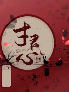 寸君心全文免费阅读(林落霍晟) 完结版