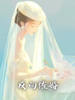 《反向催婚》小说章节目录免费试读 刘盼儿刘耀祖小说阅读