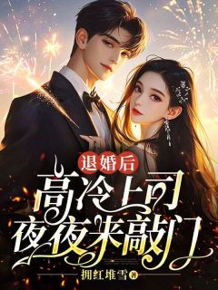 《退婚后，高冷上司夜夜来敲门》小说全集免费免费试读（黎凡宋淮安）