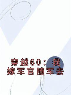 《穿越60：我嫁军官随军去》苏妍陆霆章节免费试读