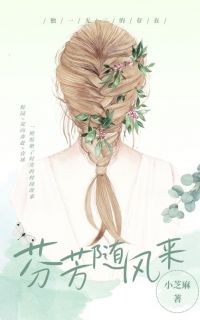 芬芳随风来小说全文精彩章节免费试读（李淑芬陆乘风）