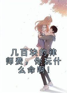 《几百块的律师费，你玩什么命啊！》苏青柏李雨蓁小说精彩内容免费试读