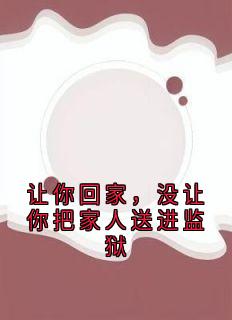 小说《让你回家，没让你把家人送进监狱》江沁江泽李念琴宋鸣全文免费阅读