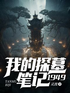 《我的探墓笔记：1949》王守仁萧安小说全本免费试读