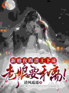 《新婚夜果断休夫，谁知竟是大梦一场》小说章节目录在线试读 宋阮穆修泽小说阅读