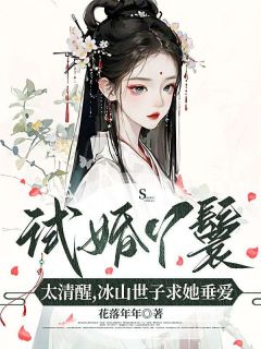 林晚玉陆怀瑾书名叫什么_试婚丫鬟太清醒，冰山世子求她垂爱