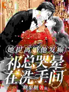 《她提离婚他发癫，祁总哭晕在洗手间》小说全文精彩章节免费试读（阮山柳祁夜南）