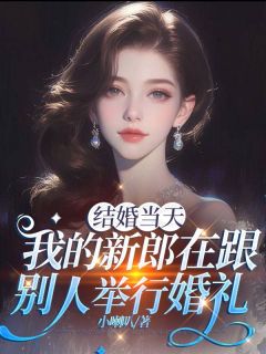 结婚当天，我的新郎在跟别人举行婚礼by小喇叭 婉婉秦舟淮白清知小说完整篇在线阅读