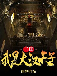 三国：我是大汉天子全文免费阅读 刘冯赵云小说最新章节完整版