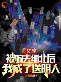 《女神被骗去缅北后，我成了送阴人》小说全文精彩试读 周宜叶蔓蔓小说阅读