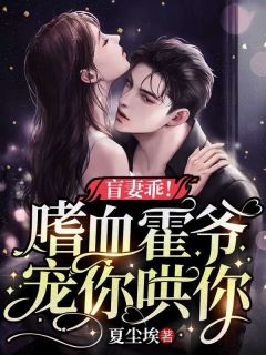 《盲妻乖！嗜血霍爷宠你哄你》叶堇霍隼大结局在线阅读