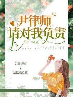 《尹律师，请对我负责》尹笙孟梓期大结局精彩阅读