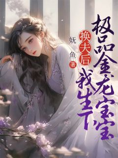 《换夫后，我生下极品金龙宝宝》小说章节目录免费阅读 龙莲儿龙呈龙染小说全文