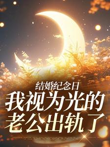 《结婚纪念日，我视为光的老公出轨了》小说最新章节免费阅读（精彩章节未删节）