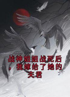 战神姐姐战死后，我嫁给了她的夫君(主角辰筠景幻) 战神姐姐战死后，我嫁给了她的夫君免费试读