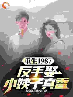 《重生1987，反手娶小姨子真香》小说全文免费试读 《重生1987，反手娶小姨子真香》最新章节列表