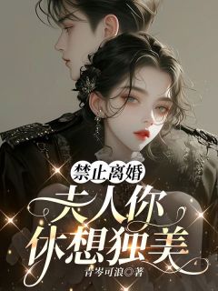 《禁止离婚，夫人你休想独美》小说章节目录免费阅读 许听雨祁时风小说全文